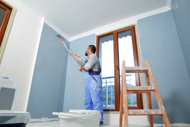 Best Attic Mold Removal  in Hephzibah, GA