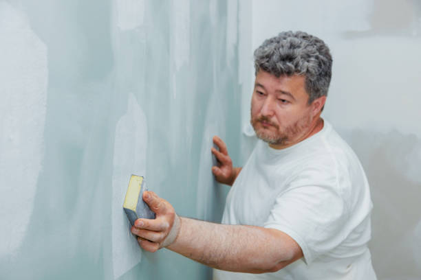 Best Post-Construction Mold Inspection  in Hephzibah, GA