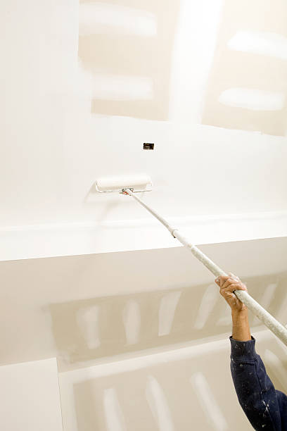 Reliable Hephzibah, GA Mold Removal Solutions